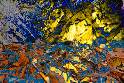 Whisper of the undergrowth - a Photographic Art Artowrk by  donata cereda